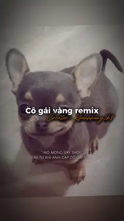 Con cún vàng🍁