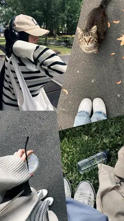 Aesthetic 
