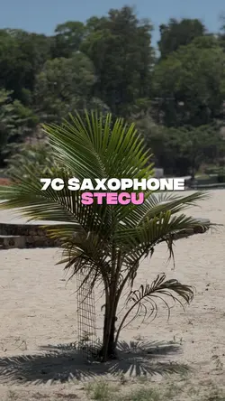 7C Stecu