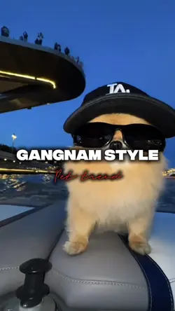gangnam style