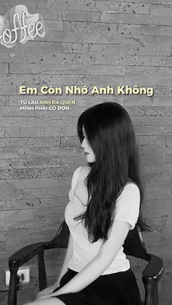 Em Còn Nhớ Anh Không
