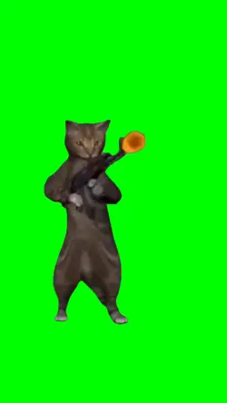 Cat Shoots