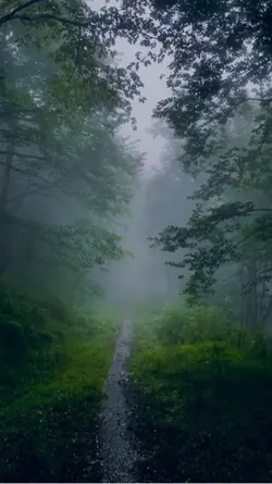 طبیعت آرامش