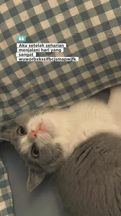 Setelah seharian.. 