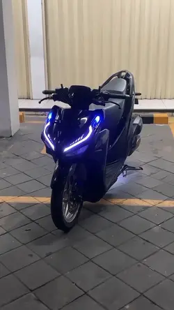 kicau mania