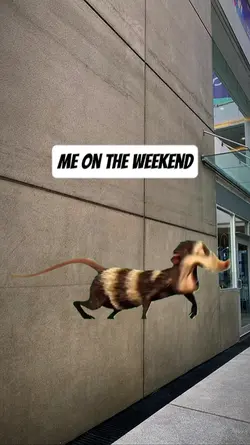 me on weekend 