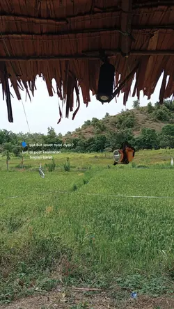 untuk petani muda 
