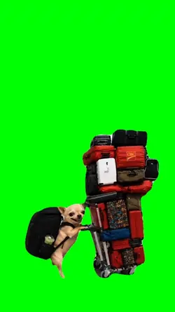 READY FOR HOLIDAY