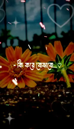 মায়া নাই যার দিলে 