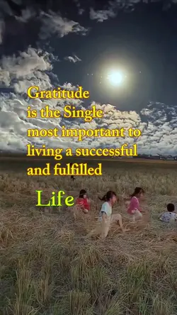 Gratitude 
