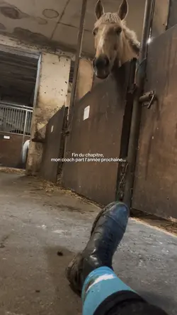 …