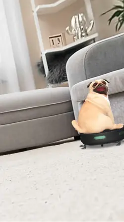 Pug life