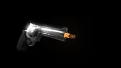 shots gun ¹⁹
