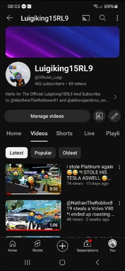 Luigiking's 400 subs