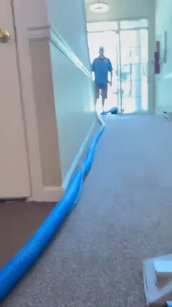 All Hands Carpet