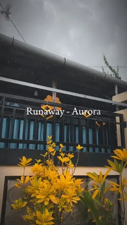 runaway-aurora
