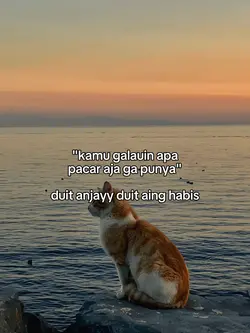 duit aing habis