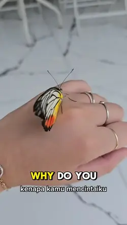 Why do you love me