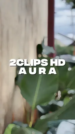 2C Aura