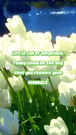 Miracles