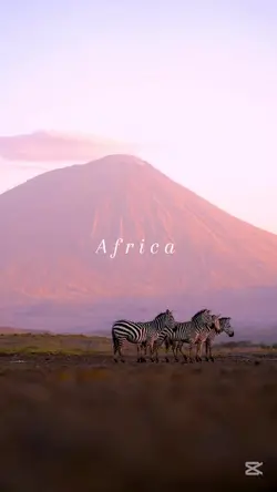 Africa 