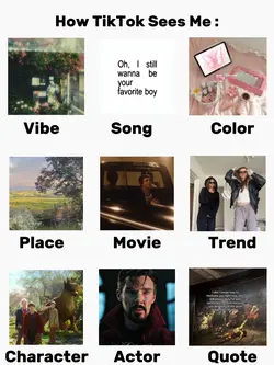 How Tiktok Sees Me