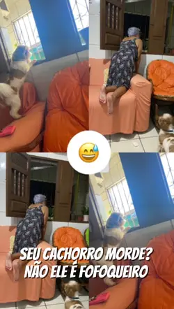 ☺️🐶✅