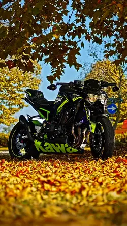 Motorcycle 