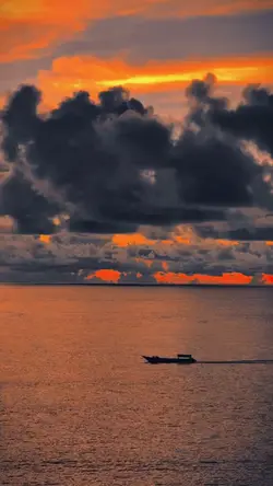 aesthetic