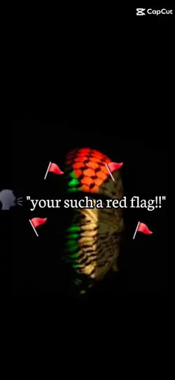 Red flag