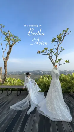 Wedding Dream
