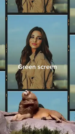 Lion green screens ❤️