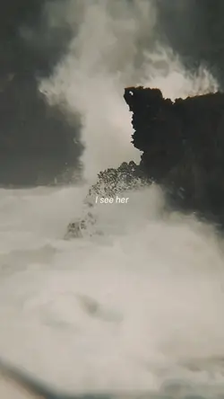 WILDFLOWER SLOWMO
