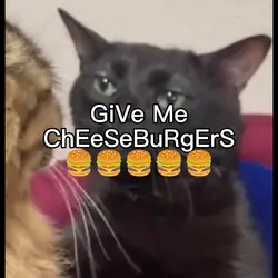 I eat for hours