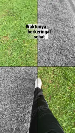 Olahraga aesthetic