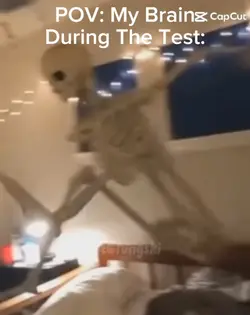 Brain