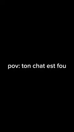 chat fou