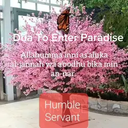 Dua To Enter Jannah 