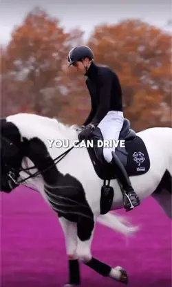 Horse edit