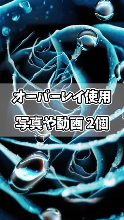 オーバーレイ 写真や動画2個