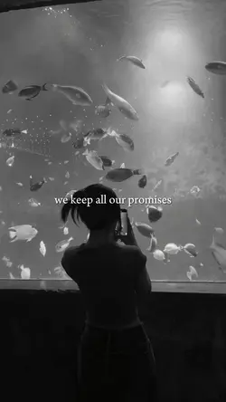 we keep all our