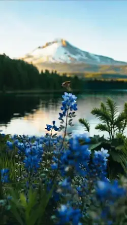 Mountain Peace 