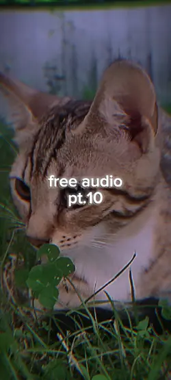 Free audio