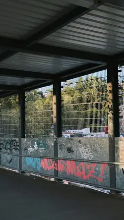 aesthetic