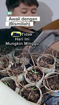 template transparan 