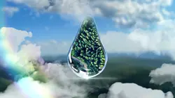 water drops