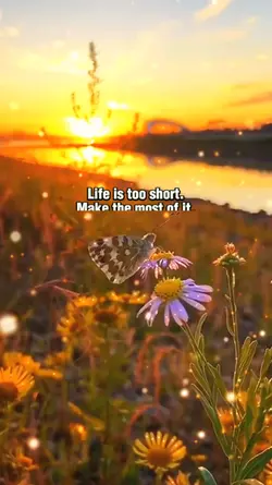 Life is too short