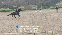 nn ti permetterre