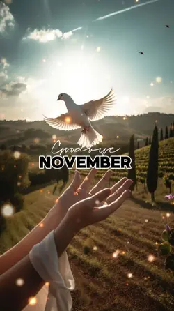 Goodbye November 
