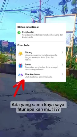 fitur fbpro